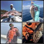 25pcs Heavy-Duty Circle Hooks for Freshwater & Saltwater