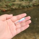 EXAURAFELIS Fishing Lures Casting Spoon Lure Fishing Spoons Lures Troutlure Bass Lure Crappielure Pikelure Walleyelure for Saltwater and Freshwater with Tackle Box 1/4oz