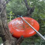 AHRYLXY Telescoping Pickup Tool Magnetic Pole with 3 Hooks, 10 FT Telescopic Push Pull Rod Wire Reacher Grabber Disc Golf Retriever, Disc Golf Accessories