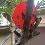 AHRYLXY Telescoping Pickup Tool Magnetic Pole with 3 Hooks, 10 FT Telescopic Push Pull Rod Wire Reacher Grabber Disc Golf Retriever, Disc Golf Accessories