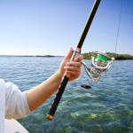 Sougayilang Saltwater Spinning Reel,CNC Aluminum Spool,Max Drag 33LB,Oversize Grip,5.5:1 Gear Ratio, 11+1 Stainless-Steel BB, Freshwater Fishing Reel-SW2500