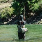 Redington Classic Trout Freshwater Fly Fishing Rod - Moderate Action 4-Piece Fly Rod - Case Included - 4WT 8'6"