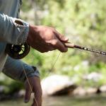 Redington Classic Trout Freshwater Fly Fishing Rod - Moderate Action 4-Piece Fly Rod - Case Included - 4WT 8'6"