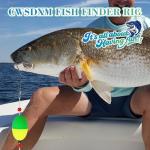 Fish Finder Rig with Float Surf Fishing Rigs 33LB Surf Fishing Tackle for Shark Bluefish Stripers 6PCS 6/0 8/0 (6/0 Circle Hook-6pcs)