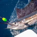 6PCS Fish Finder Rig with Float Fishing Floats and Bobbers Fishing Rigs Catfishing Tackle Floats with Hooks for Redfish Bluefish Shark and Striped Bass (6/0 Mixed Color-6 Pcs)