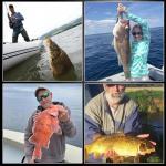 FishTrip 50/100 Pack Octopus Fishing Hooks - Offset Beak Circle Hooks for Fish Hooks Saltwater & Freshwater, Live Bait Fish Hook Black for Rigs Catfish, Bass Tuna, Walleye, Trout