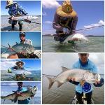 Maxcatch Saltwater Fly Fishing Rod 9ft 8/9/10wt Graphite IM10 Fast Action (9ft 11wt)