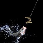 Dr.Fish 100 Pack Aberdeen Fishing Hooks Freshwater, Straight Shank Light Wire Worm Hooks for Bass/Crappie/Bream/Bluegill/Panfish #4