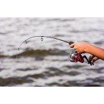 Ugly Stik Dock Runner Spinning Reel & Rod Combo