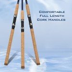 KastKing 8' Progressive Glass Casting Rod - 2 Pack