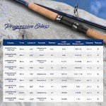 KastKing 8' Progressive Glass Casting Rod - 2 Pack