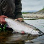 Redington Fly Fishing Rod and Reel Starter Kit