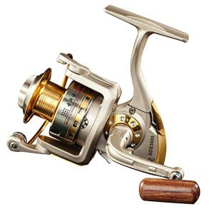 Diwa Saltwater & Freshwater Spinning Fishing Reel