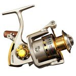 Diwa Saltwater & Freshwater Spinning Fishing Reel