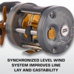 Abu Garcia C3 Baitcast Fishing Reel