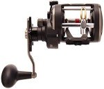 PENN Warfare Level Wind Fishing Reel - 20LW