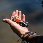 A LIST LURES Trump Topwater Fishing Bait