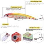Sougayilang Minnow Crankbait Fishing Lure Set 10 Pcs