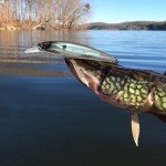 Sougayilang Minnow Crankbait Fishing Lure Set 10 Pcs