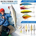 PLUSINNO 353-Piece Fishing Lures and Tackle Kit