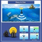 LUCKY Portable Kayak Fish Depth Finder LCD