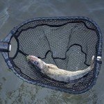 KastKing Brutus Lightweight Fish Landing Net