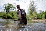 Frabill 13" x 18" Floating Trout Fishing Net