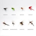 BASSDASH 64-Piece Fly Fishing Assorted Flies Kit