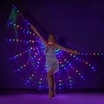 LED Belly Dance Wings with Telescopic Sticks