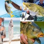 Fishing Weights Sinkers for Saltwater Fishing 1oz-8oz