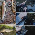 Maxcatch Tino Fly Fishing Reel - Large Arbor