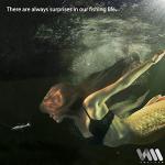 VMSIXVM Soft Swimbaits for Bass and Trout