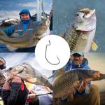 UCEC EWG Offset Worm Hooks - 100pcs Variety