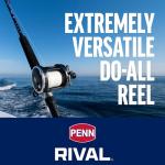 PENN Rival Level Wind Fishing Reel, 15lb Max