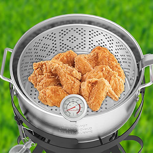 Nexgrill 10 Qt Propane Fish and Wings Fryer