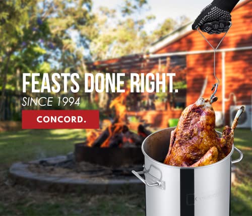 CONCORD Stainless Steel Turkey Fryer Set