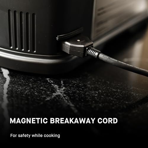 DOSNTO 10L Electric Air Fryer and Steamer