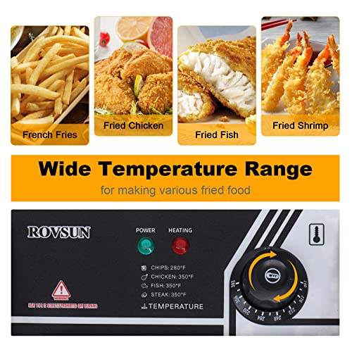 Stainless Steel Electric Deep Fryer with Basket