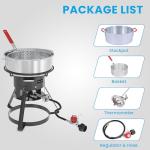 Fire Riot 10 Qt Outdoor Fish Fryer Kit