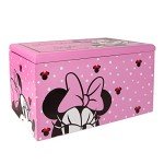 Minnie Mouse Pink Jewelry Box Organizer