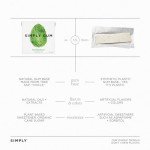 Simply Gum Peppermint - Plant-Based Chewing Gum Pack