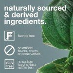 Fluoride-Free Nano Hydroxyapatite Remineralizing Toothpaste
