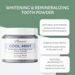 Dr. Michelle's Mint Remineralizing Tooth Powder