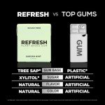 Minty Fresh Remineralizing Gum - Sugar Free & Natural