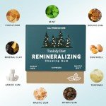 Remineralizing Chewing Gum with Nano-Hydroxyapatite - 2 Pack