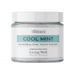 Dr. Michelle Remineralizing Tooth Powder - Cool Mint