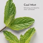 Dr. Michelle Remineralizing Tooth Powder - Cool Mint