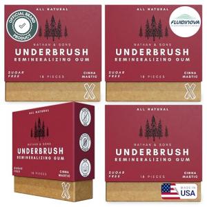 Underbrush Cinnamon Remineralizing Gum with Xylitol - 4 Pack