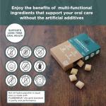 Underbrush Organic Mint Remineralizing Chewing Gum - Sugar-Free