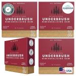 Underbrush Cinnamon Remineralizing Gum with Xylitol - 4 Pack